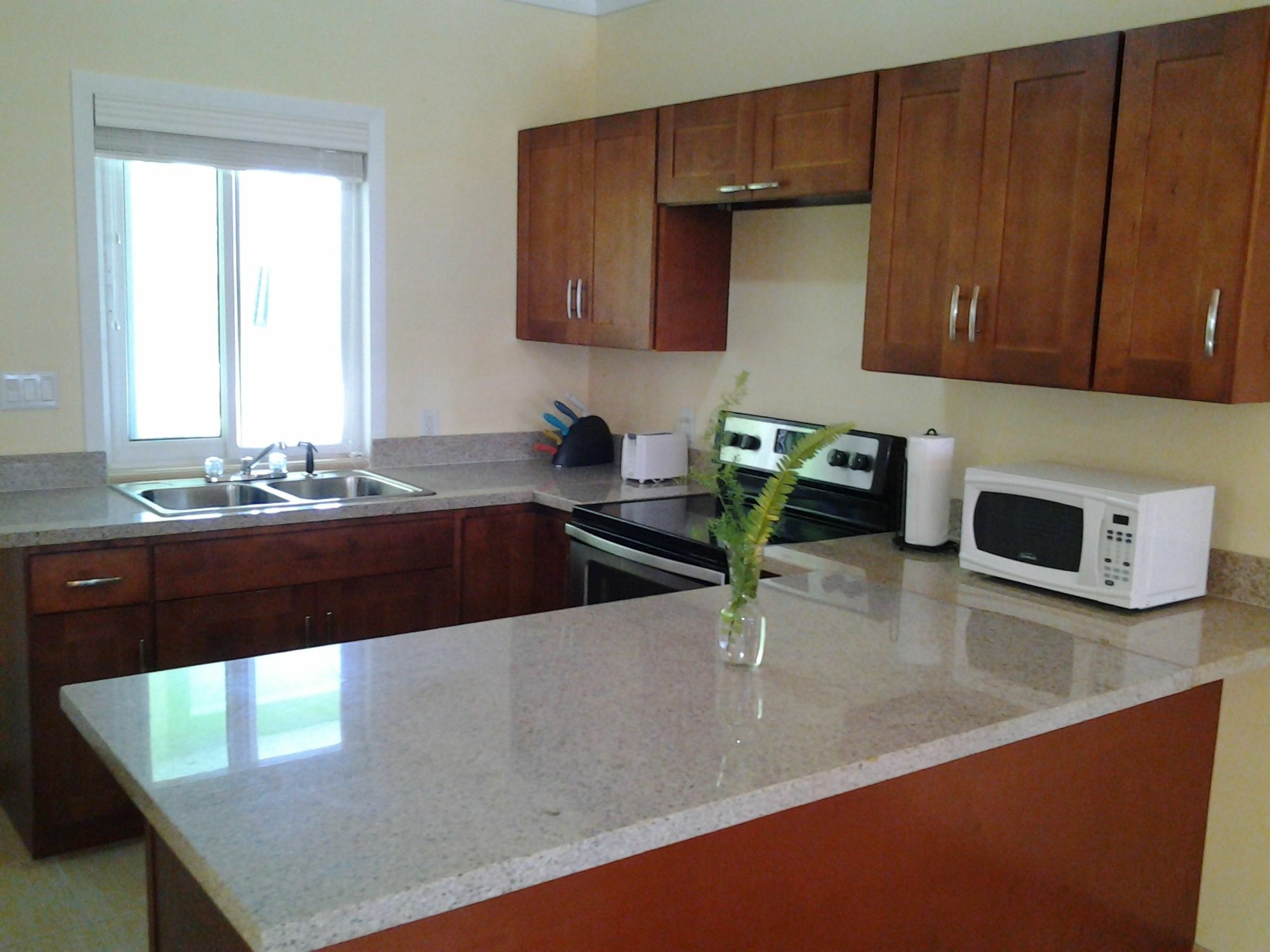 Sir Charles Guest House Palmetto Point Екстериор снимка