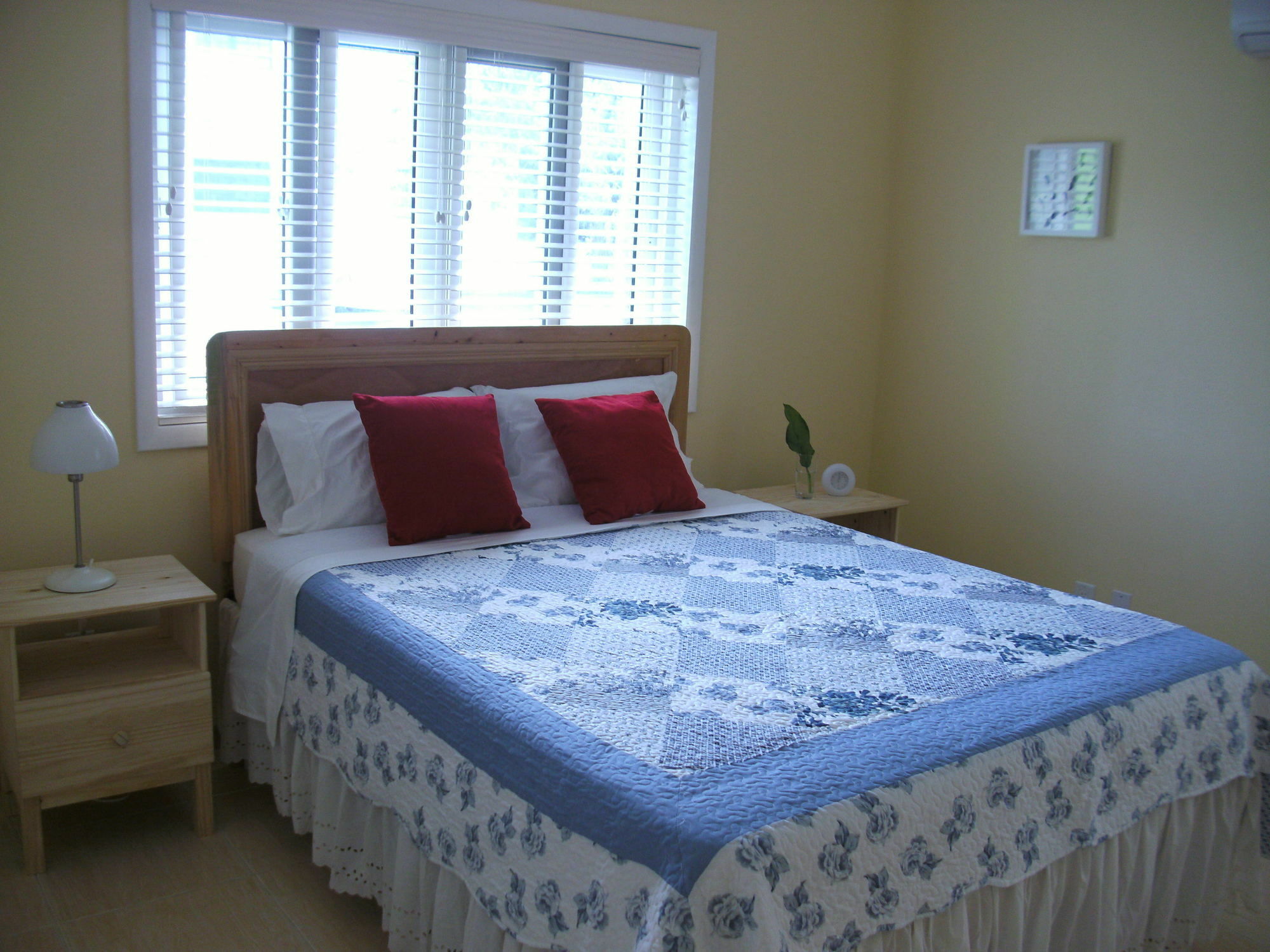Sir Charles Guest House Palmetto Point Екстериор снимка