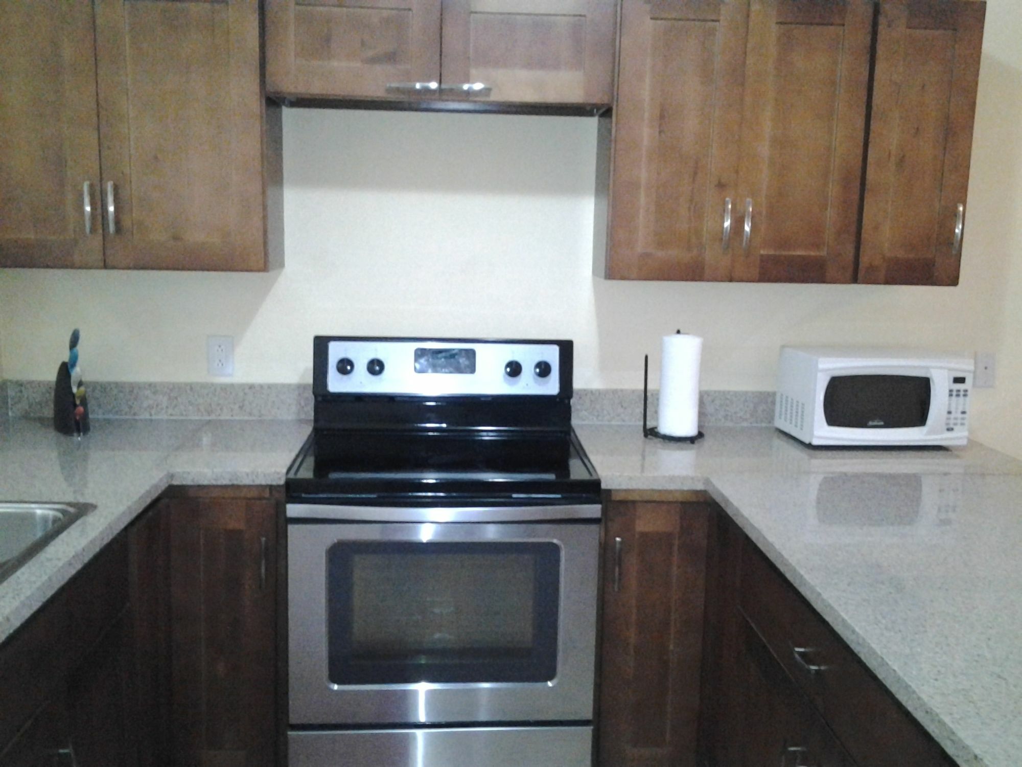 Sir Charles Guest House Palmetto Point Екстериор снимка